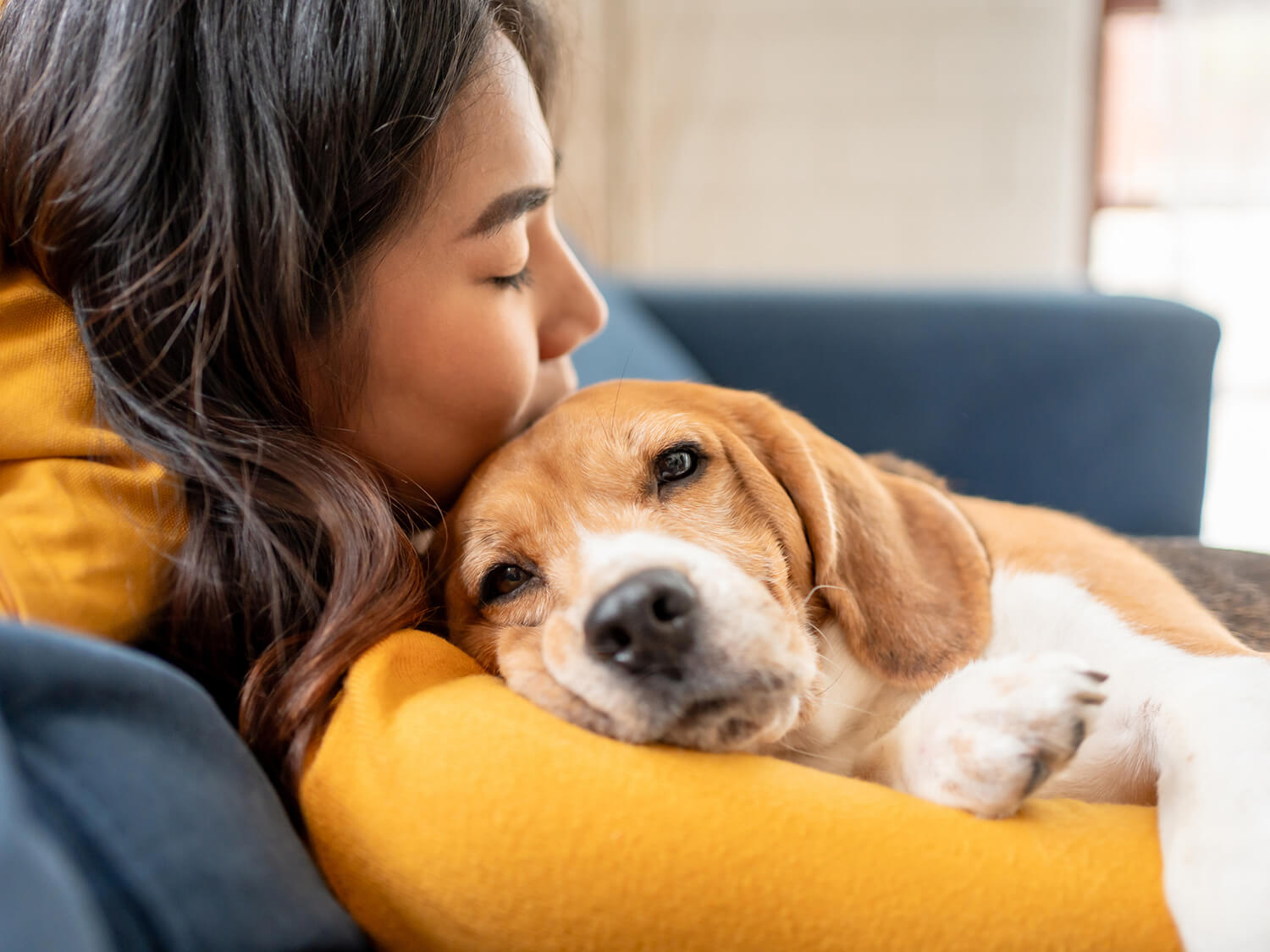 A woman comforting as beagle dog, having a hug on a sofa